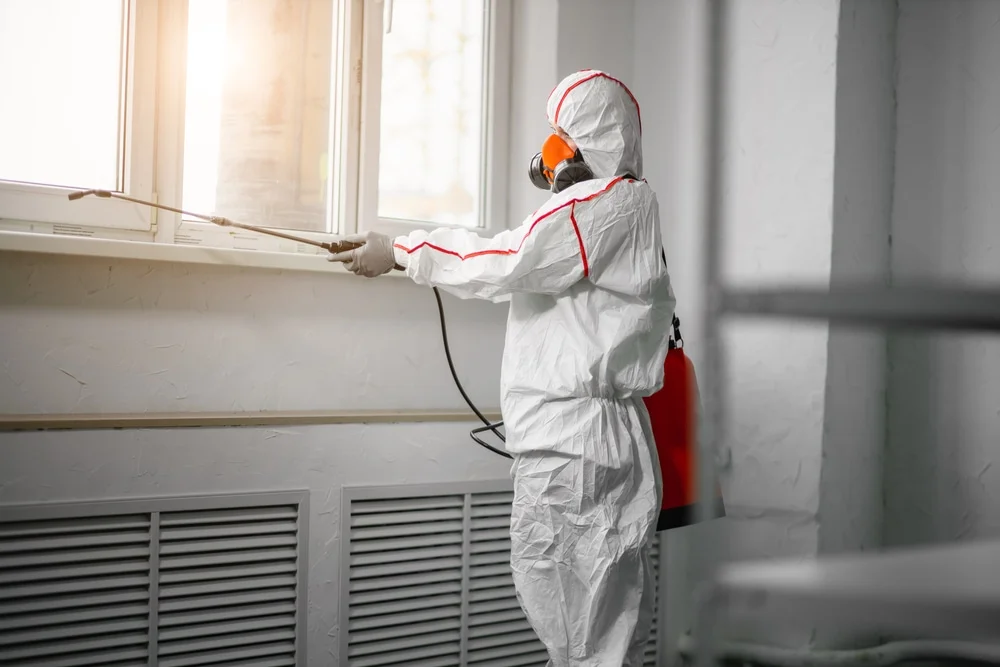 Professional mold remediation services in Little Compton, RI